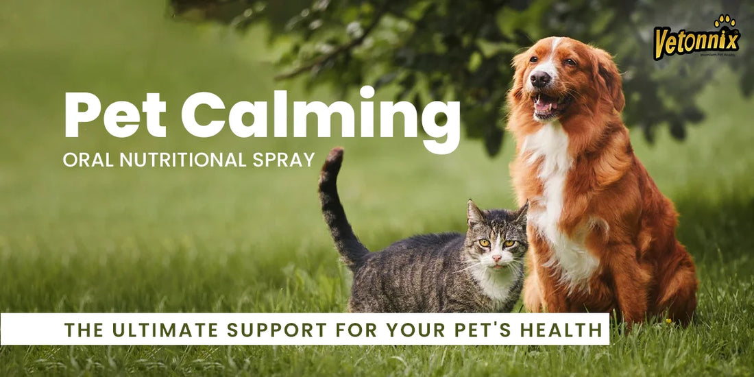 Vetonnix Pet Calming Spray: The Soothing Solution for Your Pet’s Anxiety