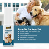 dog joint supplements